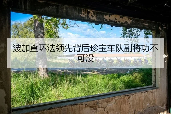 bo-jia-cha-huan-fa-ling-xian-bei-hou-zhen-bao-che-dui-fu-jiang-gong-bu-ke-mei-2-365.jpg