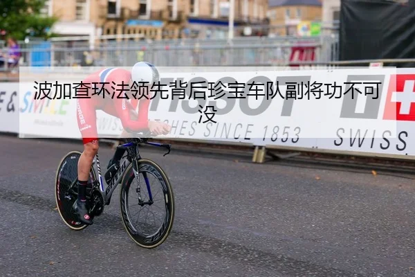 波加查环法领先背后珍宝车队副将功不可没