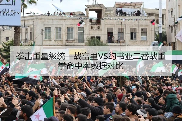 拳击重量级统一战富里VS约书亚二番战重拳命中率数据对比