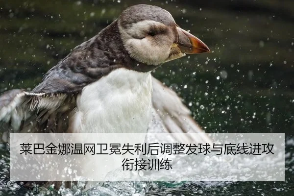 莱巴金娜温网卫冕失利后调整发球与底线进攻衔接训练
